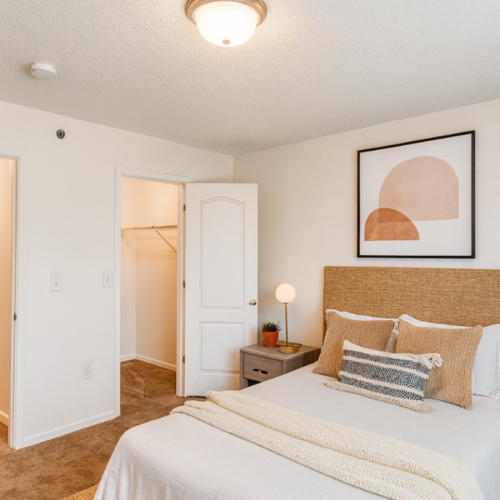 Large bedrooms with plush carpet Staged townhome bedroom