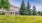 Wyngate stone sign on grassy hill with trees